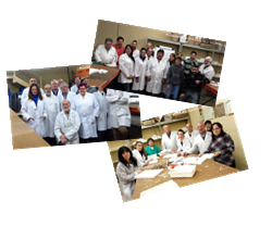 2016-Alumnos Iniciación o 1er nivel