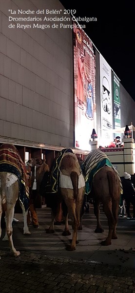 20191228_IMG-20191227-WA0016